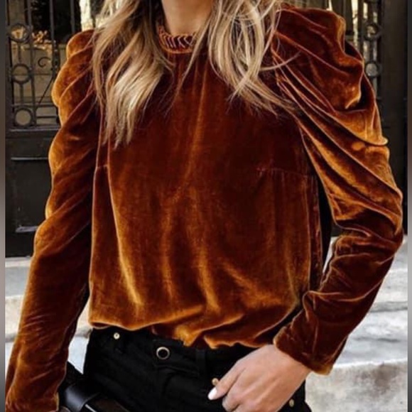 NEW•XL•Cinnamon Brown Puff Sleeved Top•NWT - Picture 3 of 14